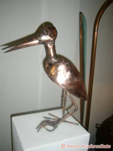 Storch